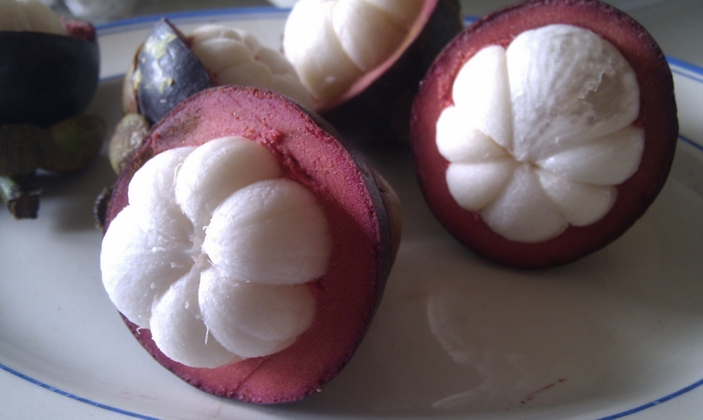 mangostan