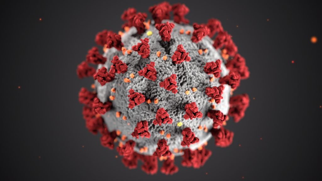 corona virus covid 19 schweinegrippe pandemie