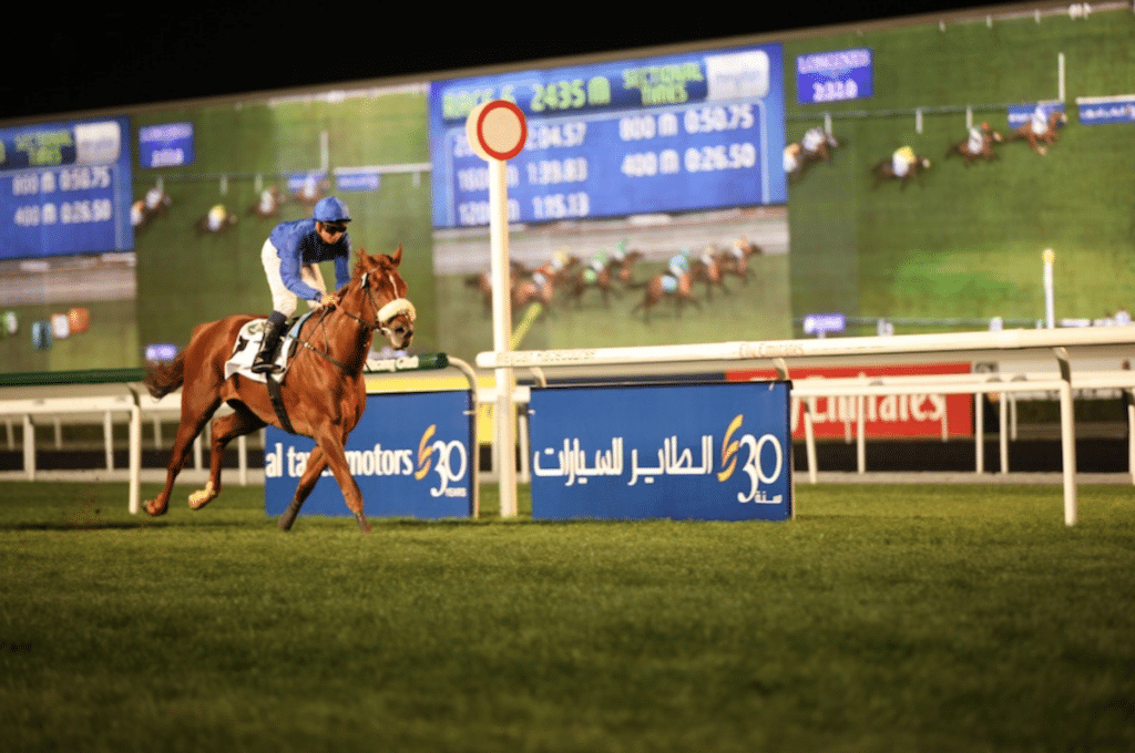 Dubai World Cup Pferderennen