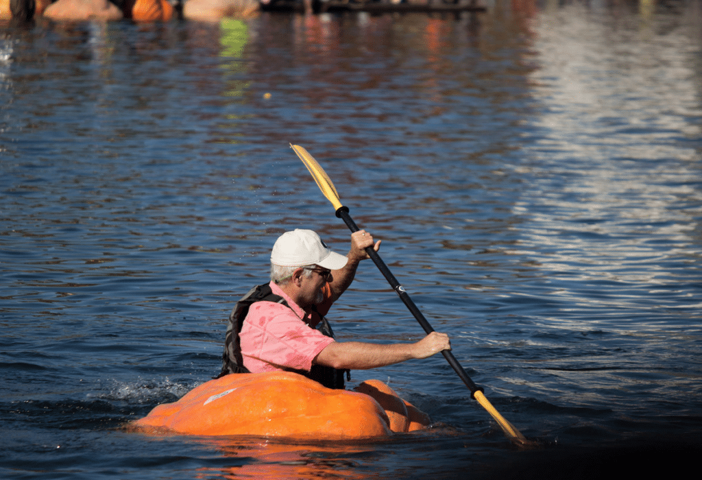 pumpkin regatta kuerbis regatta see fahren boot