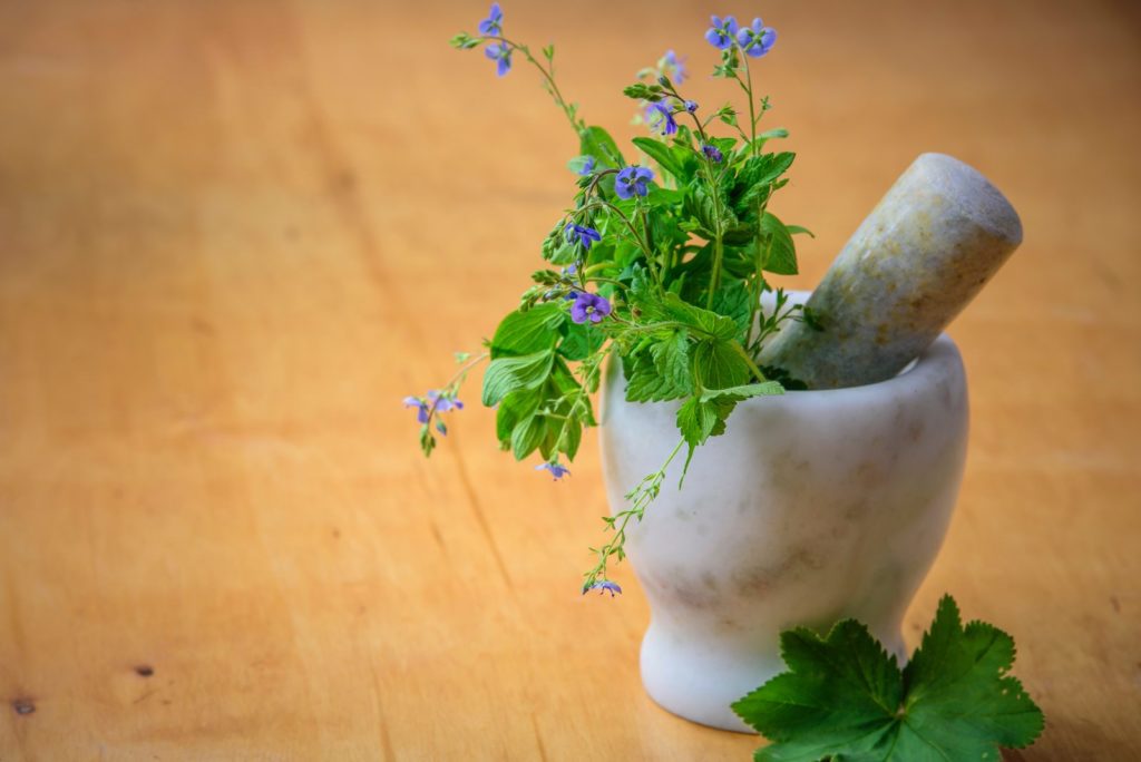 Johannes B. Kerner entwickelt Diät 1 ayurveda diaet