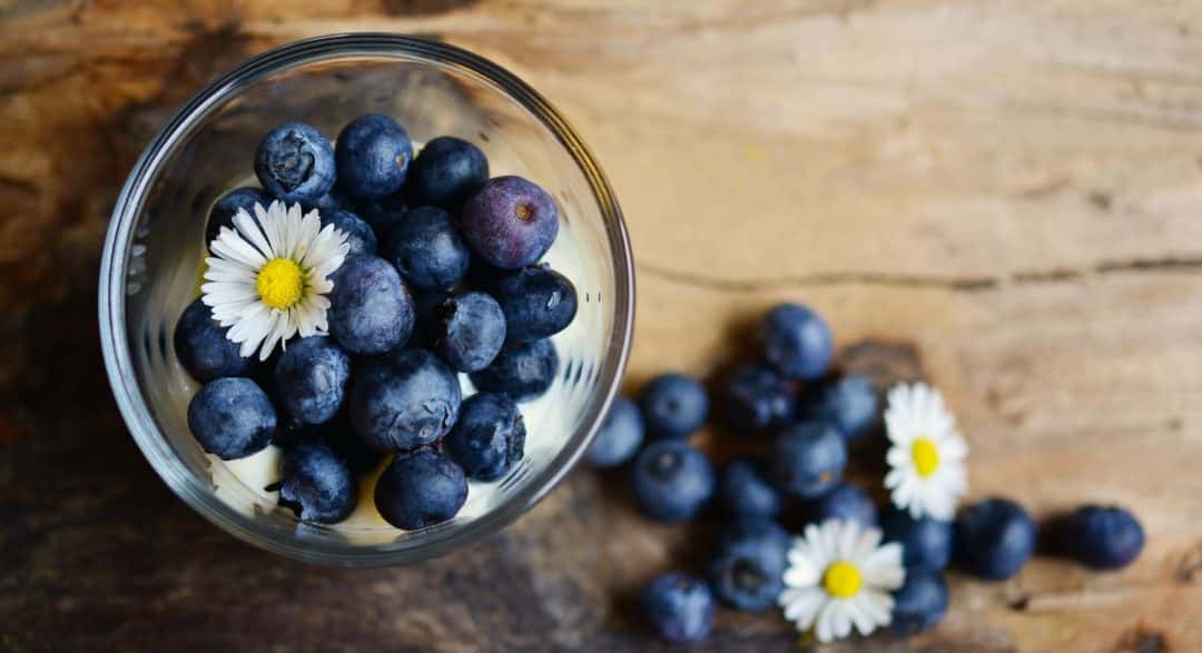 blaubeeren diaet fettzellen