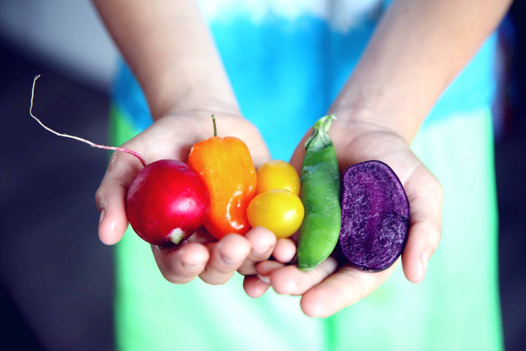 Fettarm essen - schnell und gesund abnehmen | SPORTS INSIDER