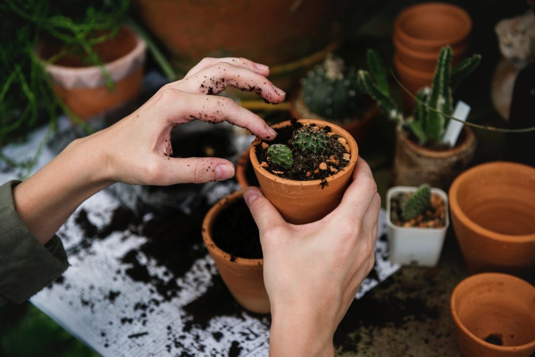 gartenarbeit rueckenschmerzen