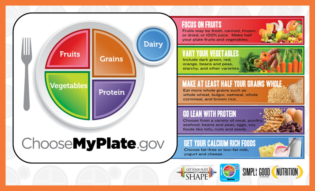 Ernährungsempfehlungen: „My Plate“ löst Pyramide ab 1 myplate ernaehrungsplan ernaehrungspyramide