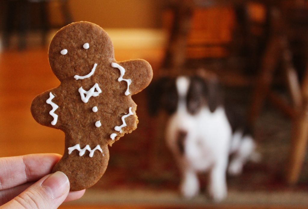 Weihnachtszeit: Bei Plätzchen die Kalorien reduzieren 1 weihnachtsgebaeck plaetzchen abnehmen diaet