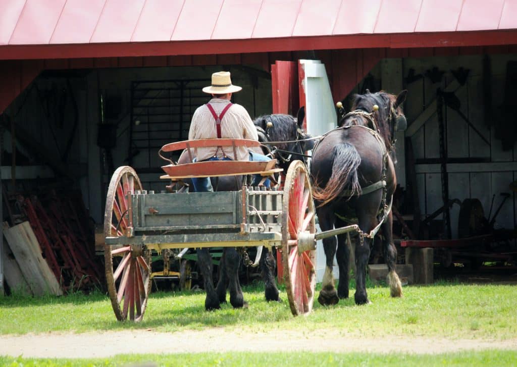 Pferdekutschensport pferdekutsche kutsche kutscherclub kinder