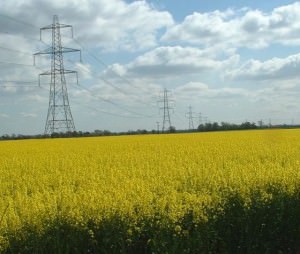 geograph-co-uk-donnylad