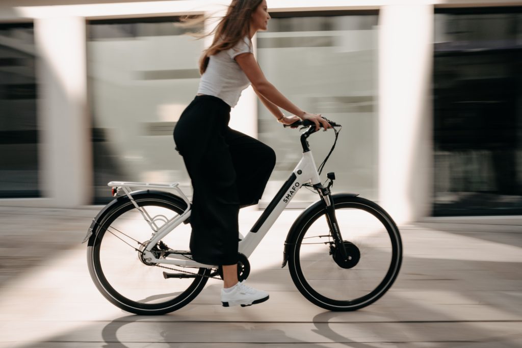 ebike elektrofahrrad pedelec