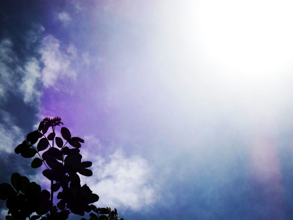 Tageslicht Lichtmangel