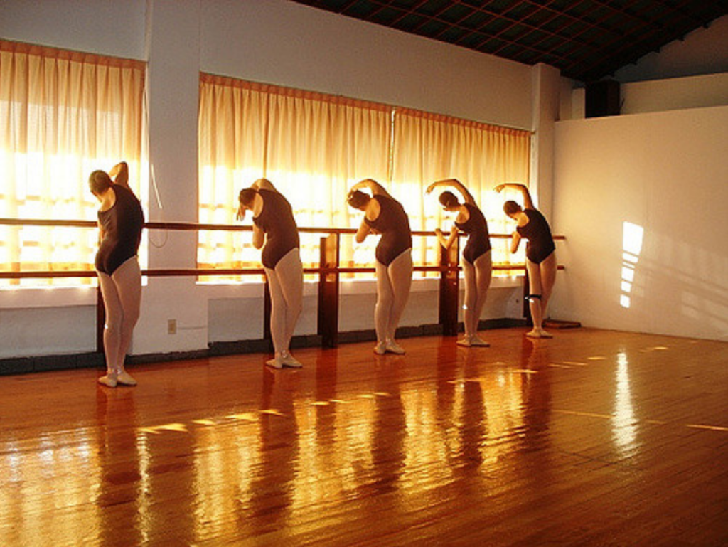 Barre Concept: Ballett trifft auf funktionelles Training 1 barre barrecore strength training