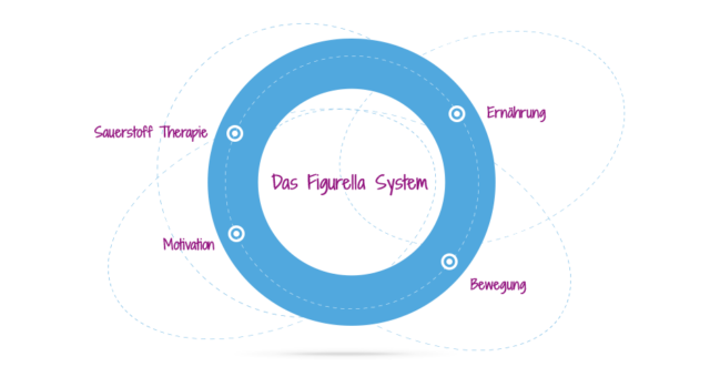 figurella system abnehmen diaet