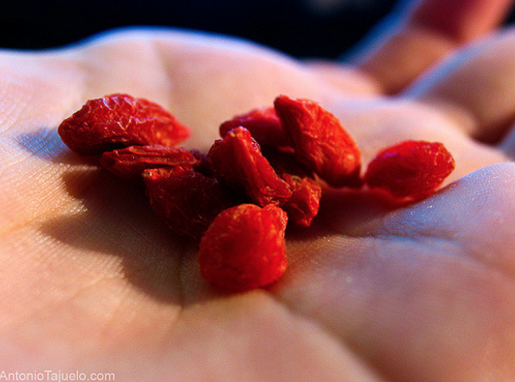 goji beeren berries berry