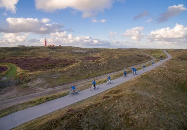 Lopifit in den Dünen von Texel