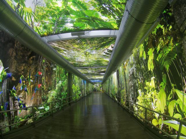 Tropical Islands Amazonia Aussenbereich Dschungel tunnel Eingang