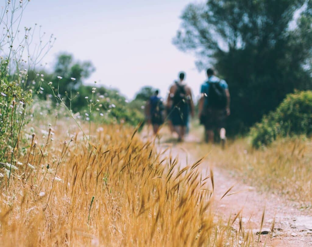 Die besten Outdoor Aktivitäten in Berlin und Brandenburg. Wandergebiete und Wanderungen für eine Tagestour 7 wanderkarte wanderungen outdoor berlin brandenburg