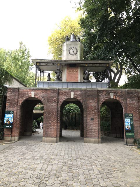New York City Marathon: Meine Erfahrungen von der Strecke, Anmeldung & Anreise 59 new york marathon sightseeing 42 central park zoo