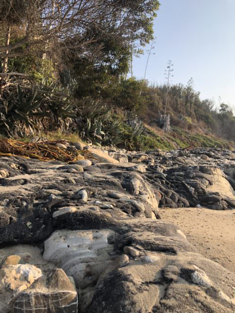 Von Venice Beach nach Flensburg. Das lief im August 2018 7 santa barbara goleta isla vista strand natur e1536495202929