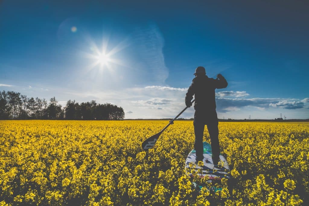 Die 12 besten SUP-Spots und Touren-Reviere in Deutschland und Europa 13 sup revier ungarn see blumen blueten