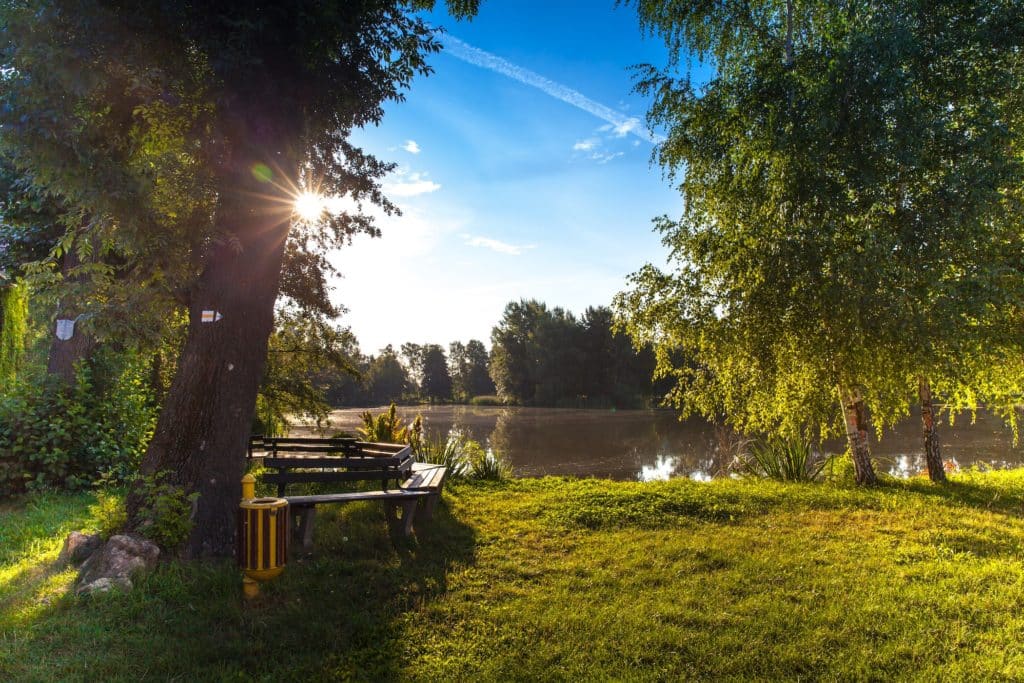 laufen in leipzig laufstrecke park route durch