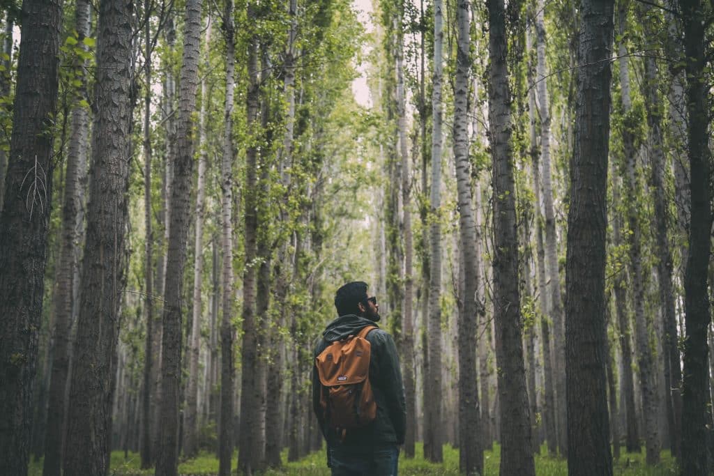 Raus aus dem Gym, hinein in die Berge: Hier macht Aktivurlaub richtig Spaß 4 wandern outdoor reise entspannung weitwandern