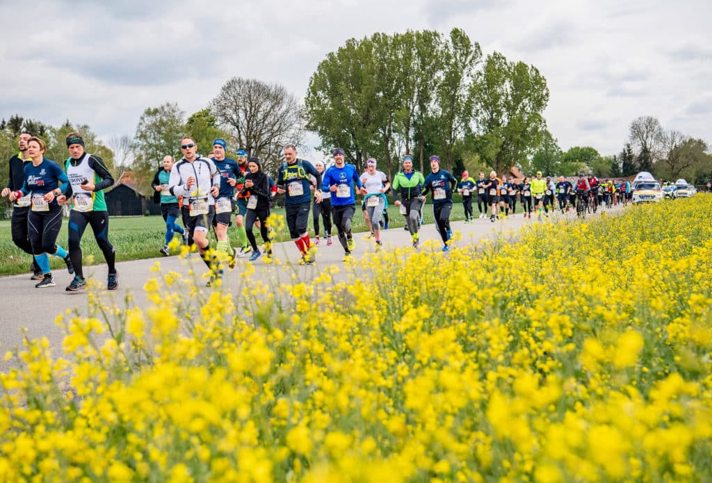 wings for life world run muenchen strecke erfahrungen