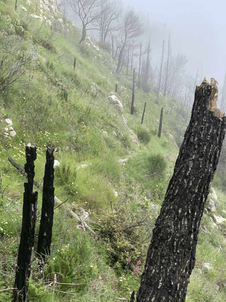 laufen almalfi trails trailrunning Pfad der Goetter 3