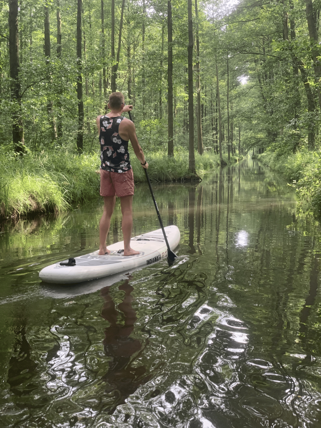 Stand Up Paddling im Spreewald. Die besten SUPTouren, Tipps und Routen