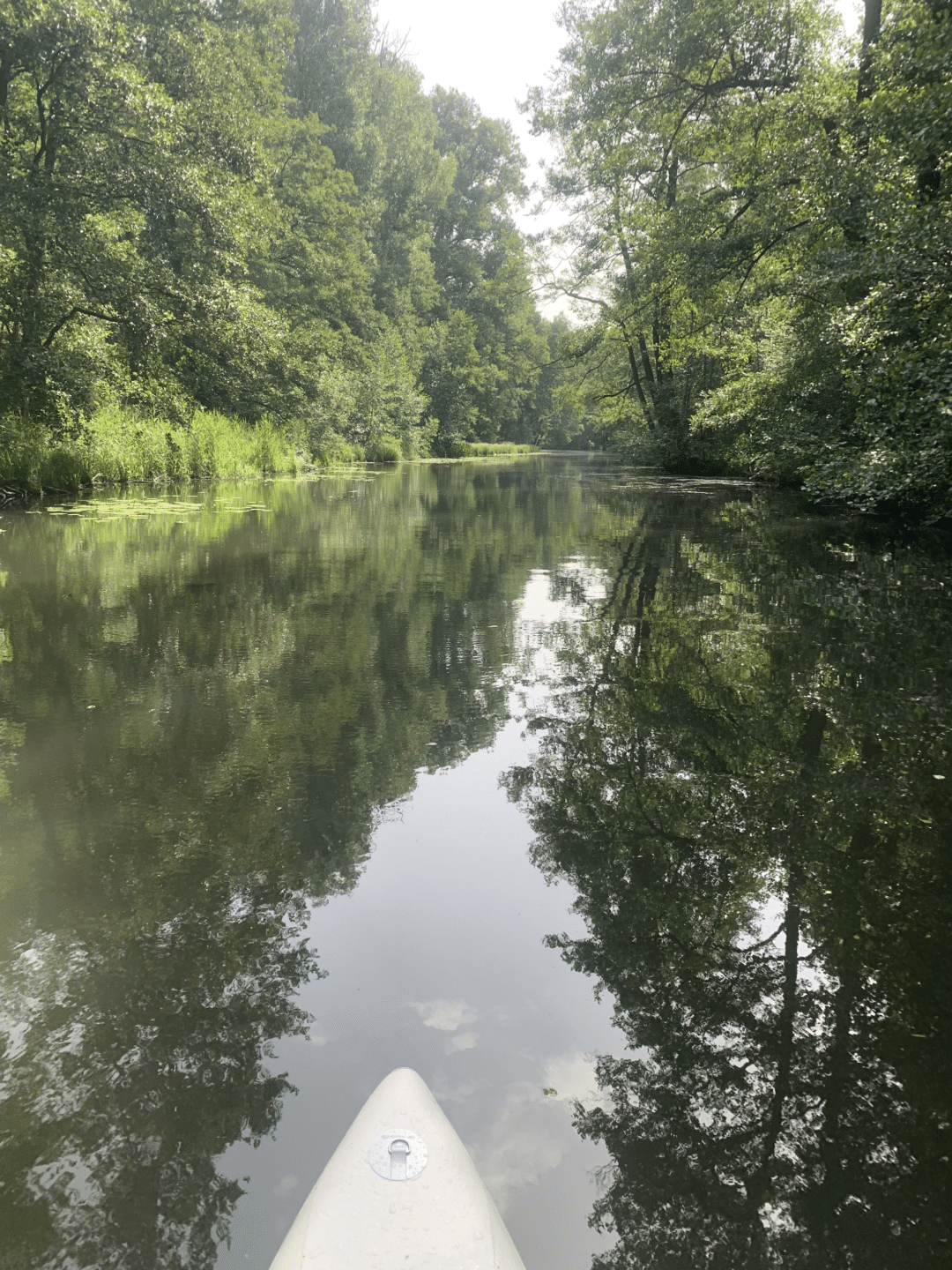 Stand Up Paddling im Spreewald. Die besten SUPTouren, Tipps und Routen