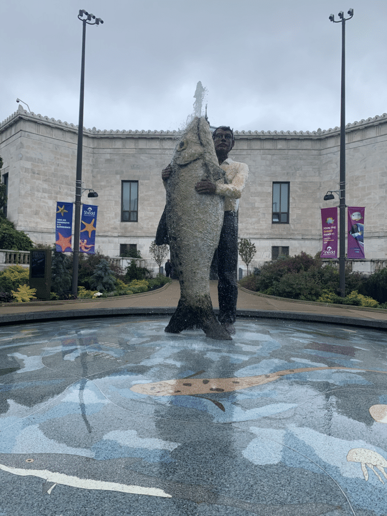 Chicago Marathon Erfahrungen Bericht acquarium