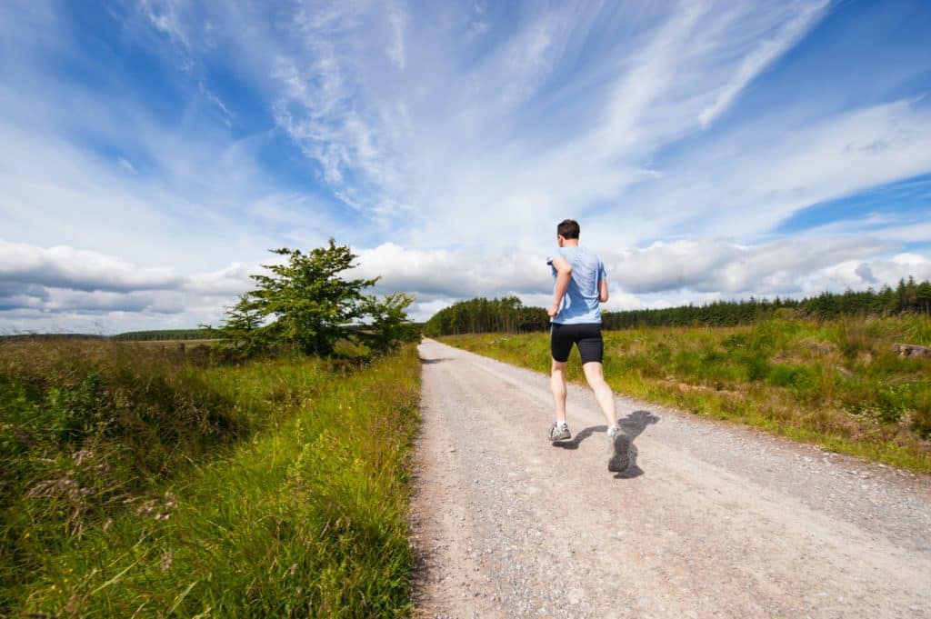 trailrunning running laufen wald natur