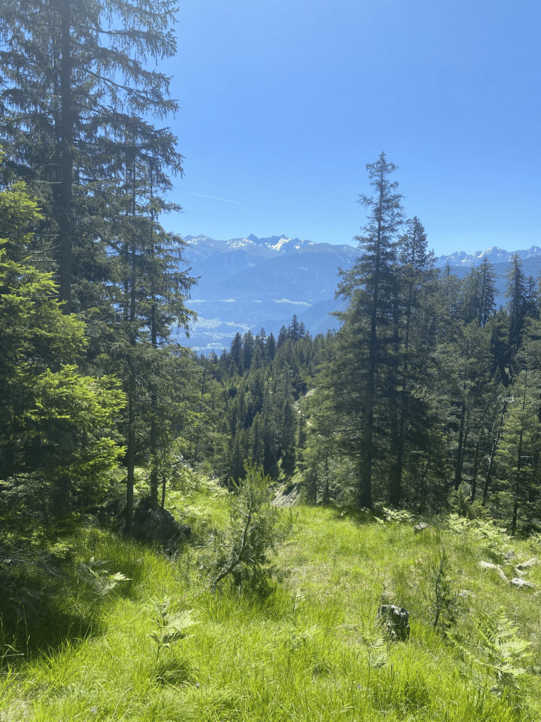 speed hiking park imst opferjoch hike trail running 6