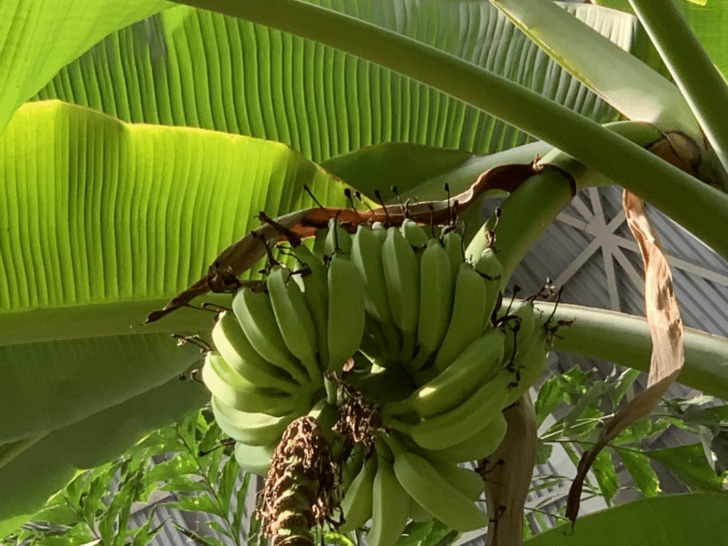 tropical islands ferienhaus test erfahrungen 7