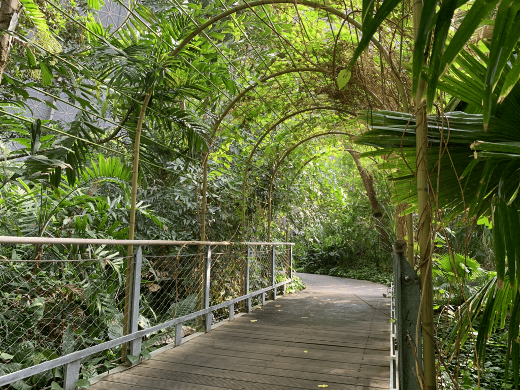 tropical islands ferienhaus test erfahrungen 9