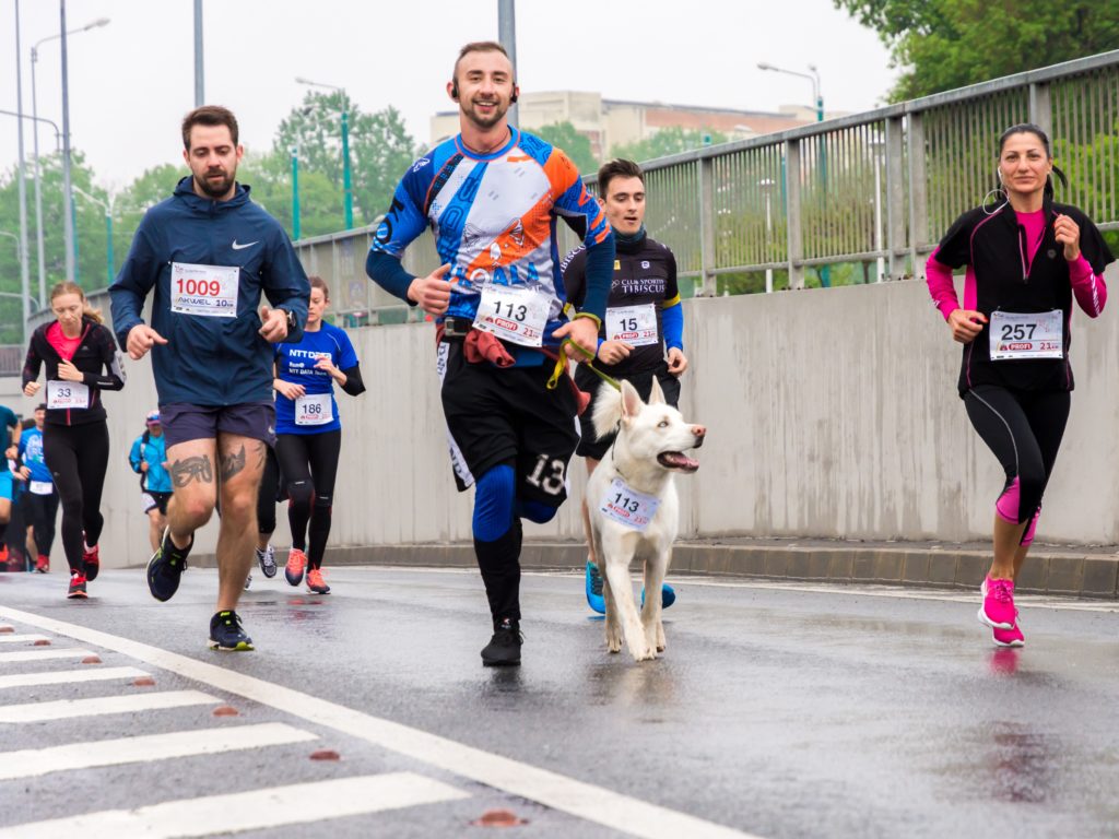 joggen mit hund laufen ab wann wie lange welche rassen hunderassen tipps