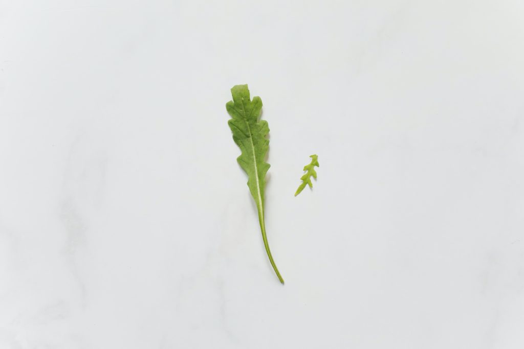 Entzündungshemmende Lebensmittel: Top 10 Hausmittel gegen Entzündungen 8 rucola
