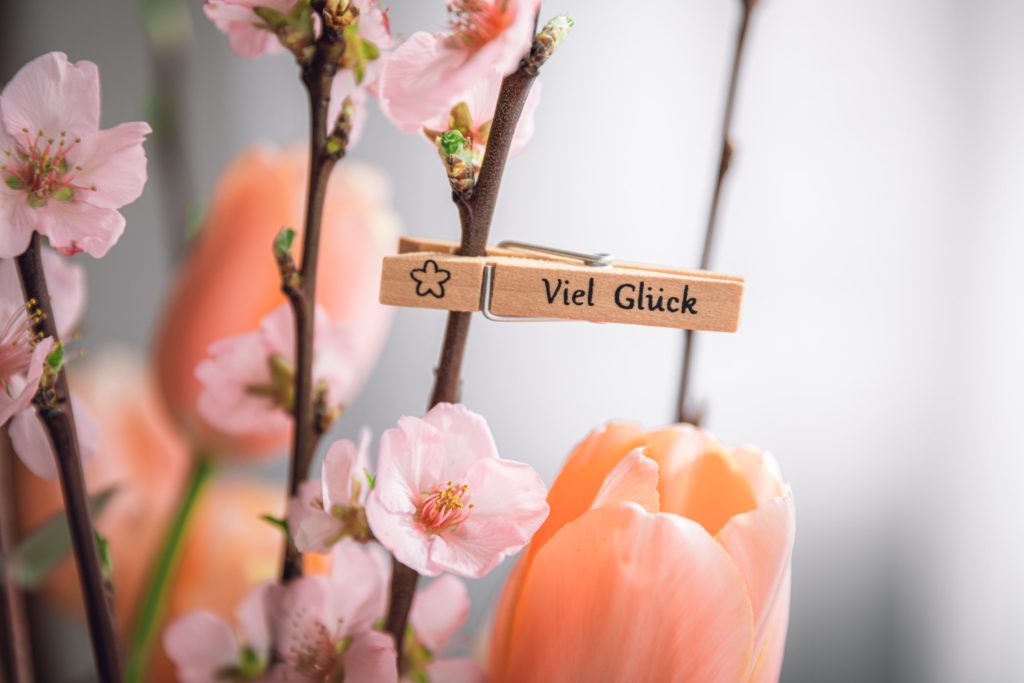 Viel Glück! Was ist eigentlich Glück? 4 glueck sprueche viel glueck auf viel glueck zum geburtstag zitate
