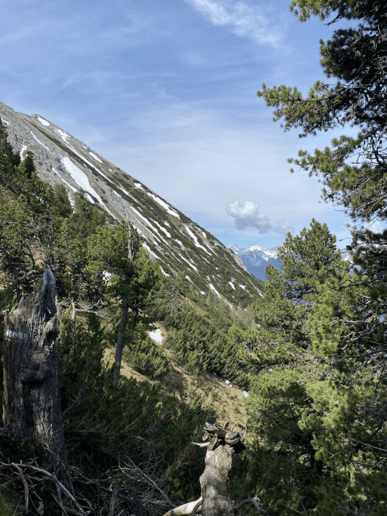 Tschirgant Sky Run - Traumstart für das neue Trail Event. Meine Erlebnisse und Ergebnisse von der Strecke. 8 tschirgant skyrun imst trailrunning strecke erfahrungen erfahrungsbericht 14