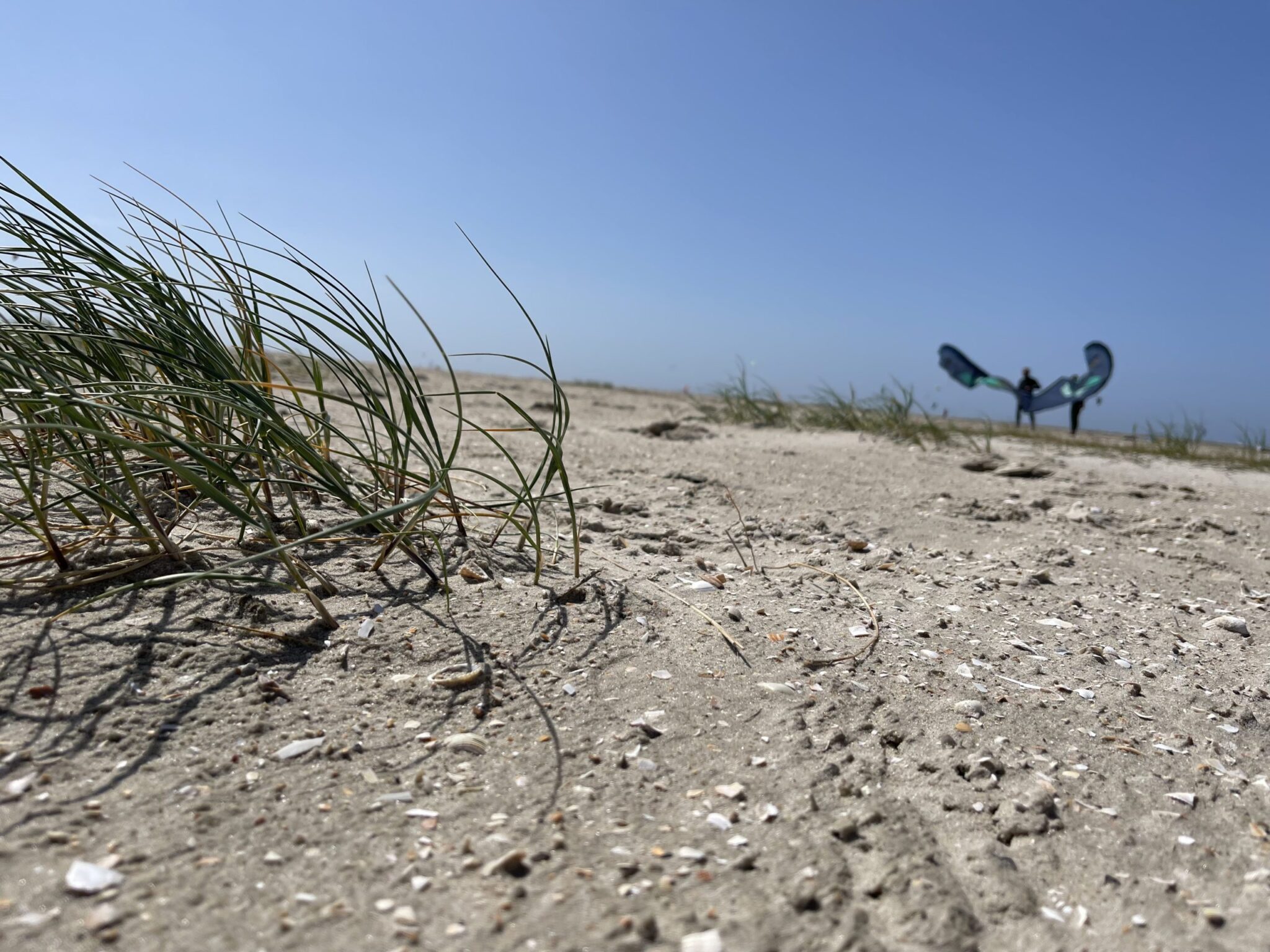 Urban Nature St. Peter-Ording - Erfahrungen aus dem neuen Lifestyle Strandhotel mit Peloton Bikes 32 sankt peter ording nordsee strand natur wandern spaziergang 1 scaled