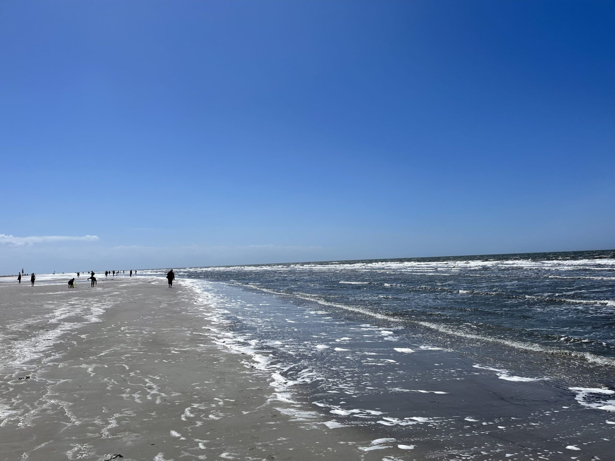 Urban Nature St. Peter-Ording - Erfahrungen aus dem neuen Lifestyle Strandhotel mit Peloton Bikes 14 sankt peter ording nordsee strand natur wandern spaziergang 4 scaled