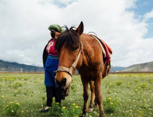 Buzkashi sport asien reiten pferde sportarten