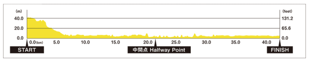 Tokyo Marathon Reise - Vom Startplatz bis zur Medaille. Meine Erfahrungen und Ergebnisse von der Strecke in Tokio 74 streckenprofil tokio marathon tokyo flach kurz hoehenmeter huegelig