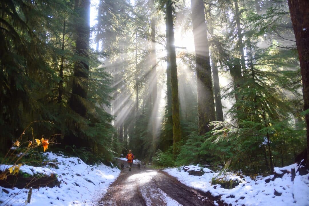 Die 10 besten Trailrunning Strecken im Harz Laufen Laufstrecken Routen Trails