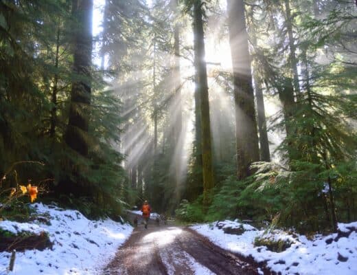 Die 10 besten Trailrunning Strecken im Harz Laufen Laufstrecken Routen Trails