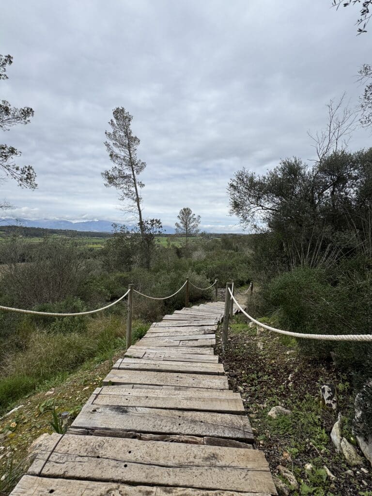 Ab wie viel kg ist man ein Fliegengewicht? Das lief im März 2025. 25 finca serena mallorca yoga retreat hurom 13