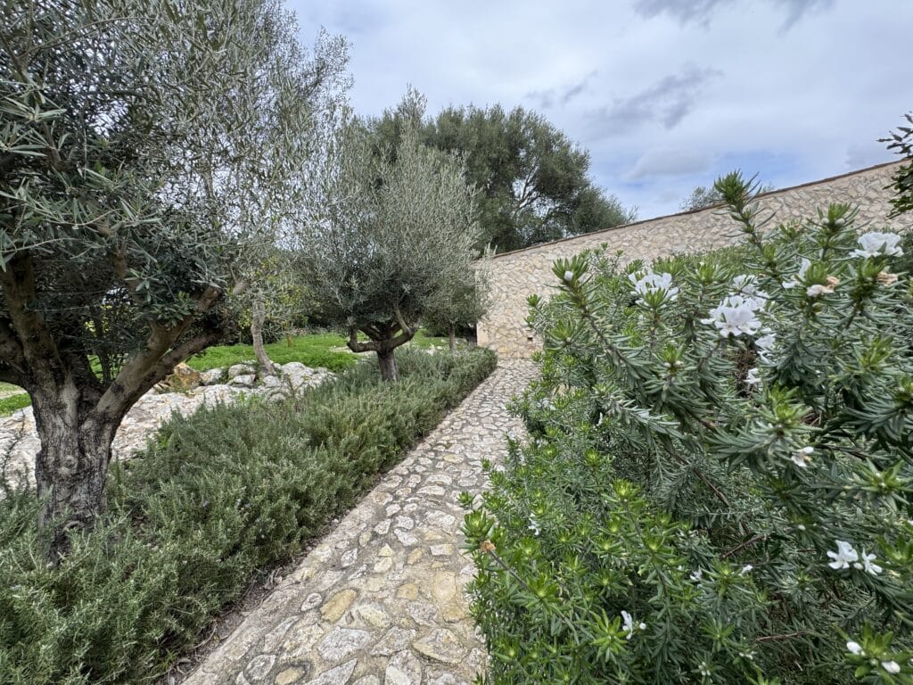 Ab wie viel kg ist man ein Fliegengewicht? Das lief im März 2025. 26 finca serena mallorca yoga retreat hurom 14