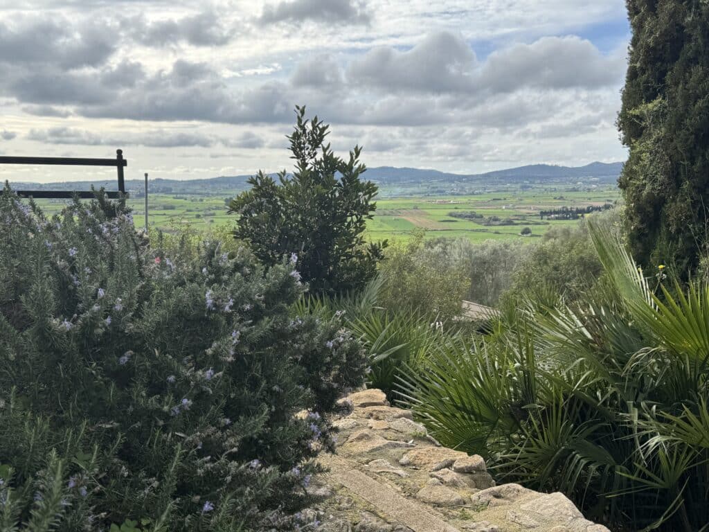 Ab wie viel kg ist man ein Fliegengewicht? Das lief im März 2025. 29 finca serena mallorca yoga retreat hurom 17