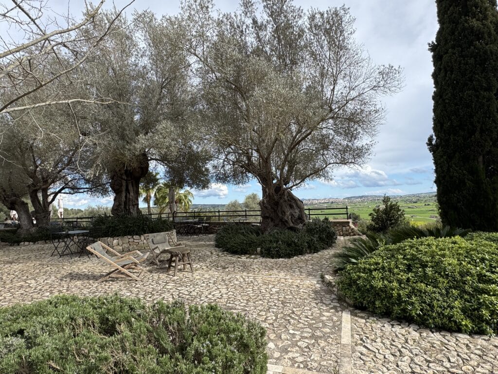 Ab wie viel kg ist man ein Fliegengewicht? Das lief im März 2025. 14 finca serena mallorca yoga retreat hurom 2
