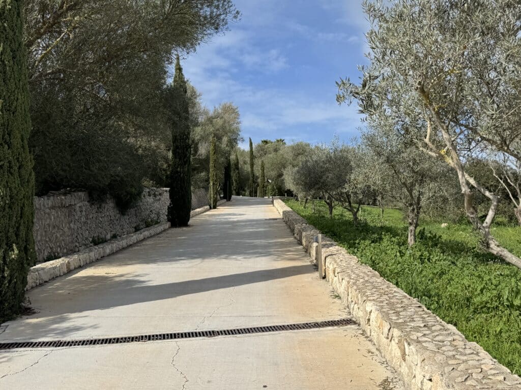 Ab wie viel kg ist man ein Fliegengewicht? Das lief im März 2025. 18 finca serena mallorca yoga retreat hurom 6