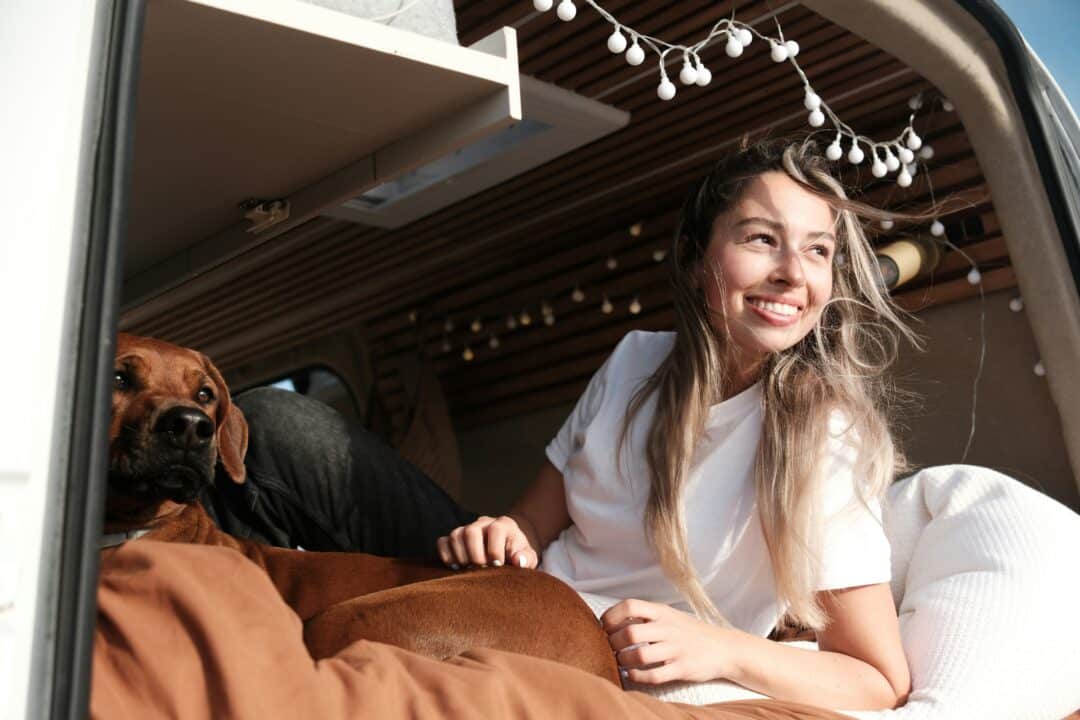 vanlife camperausbau worauf achten ratgeber wie geht starten anleitung freicamper park4night